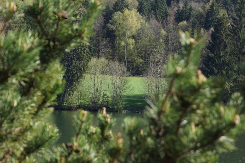 Landgasthof Trattnig Hotel Schiefling am See Kamer foto